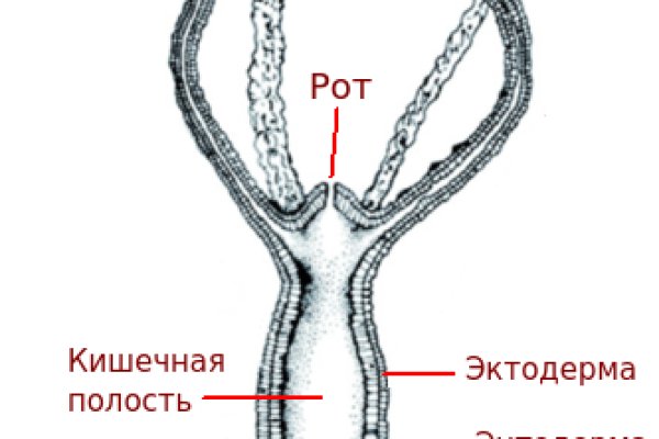 Кракен ссылка тор vtor run