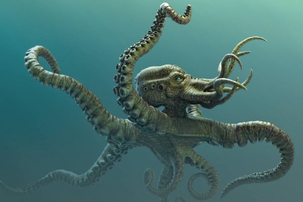 Kraken вывод средств