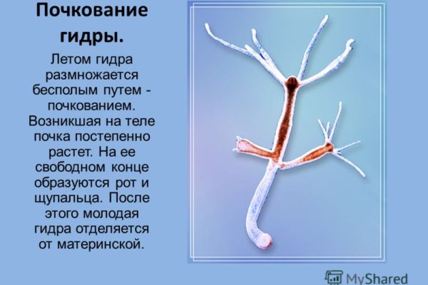 Кракен сайт официальный vtor run