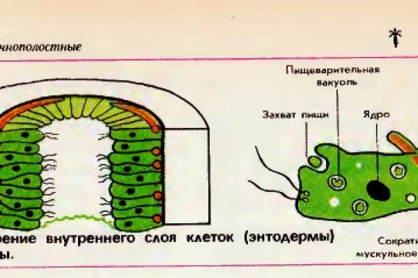 Кракен из