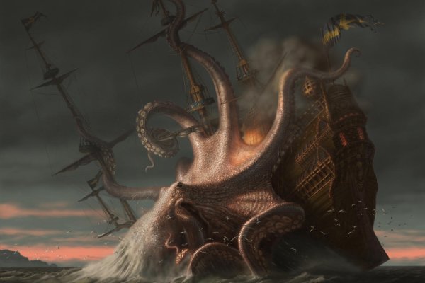 Kraken support